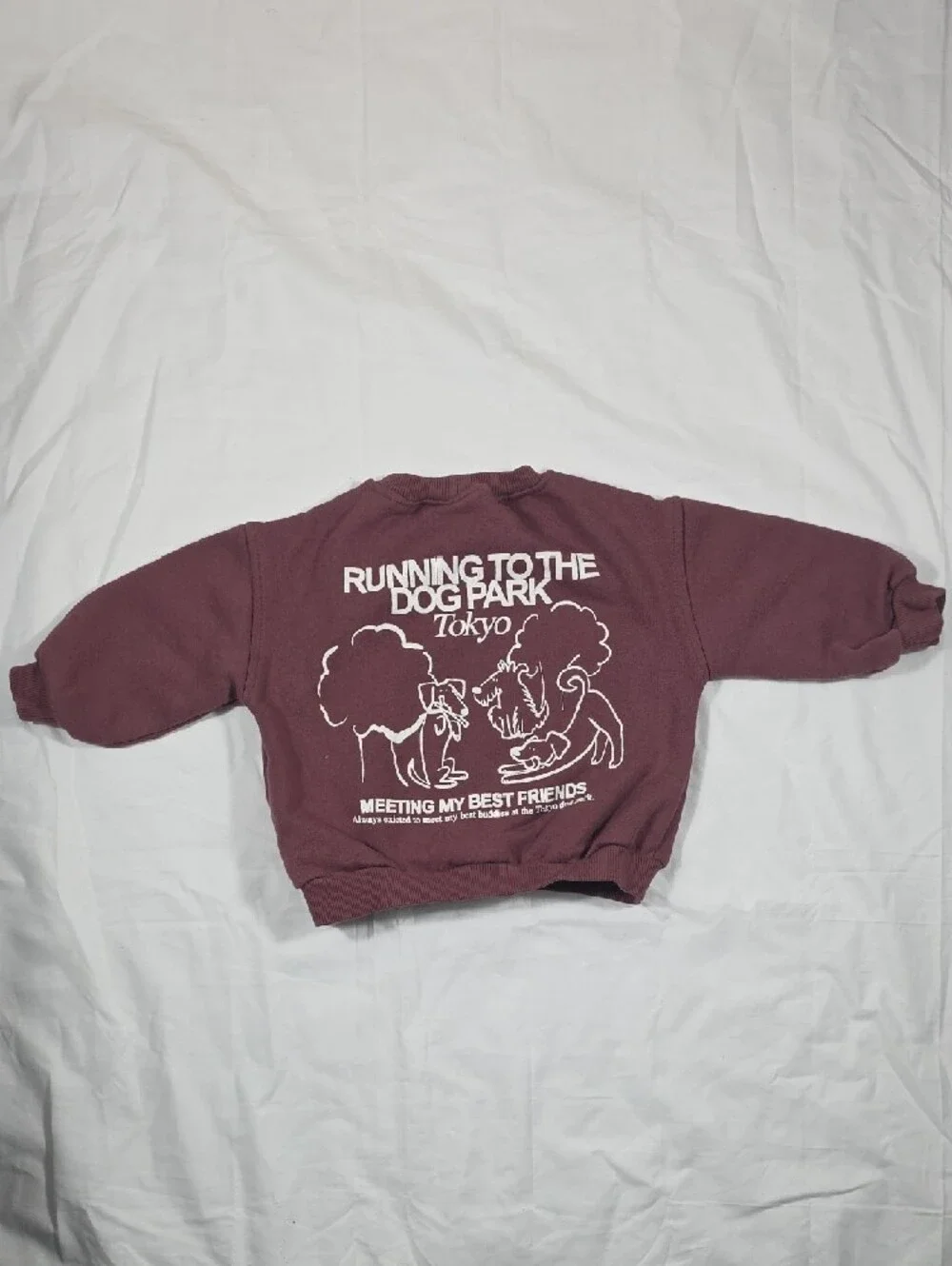 Zara Wine/Mauve Dog Park Graphic Sweatshirt